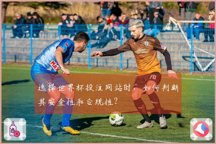 选择世界杯投注网站时，如何判断其安全性和合规性？