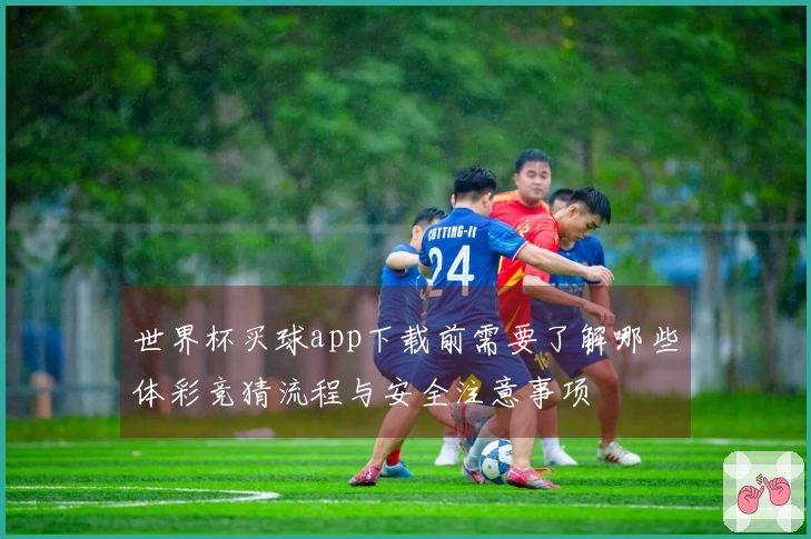 世界杯买球app下载前需要了解哪些体彩竞猜流程与安全注意事项