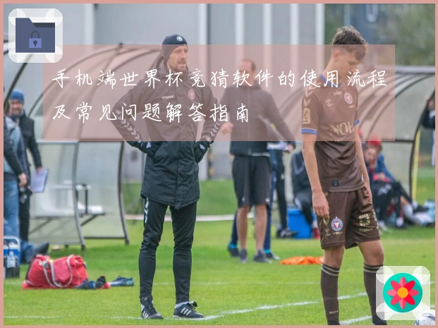 手机端世界杯竞猜软件的使用流程及常见问题解答指南