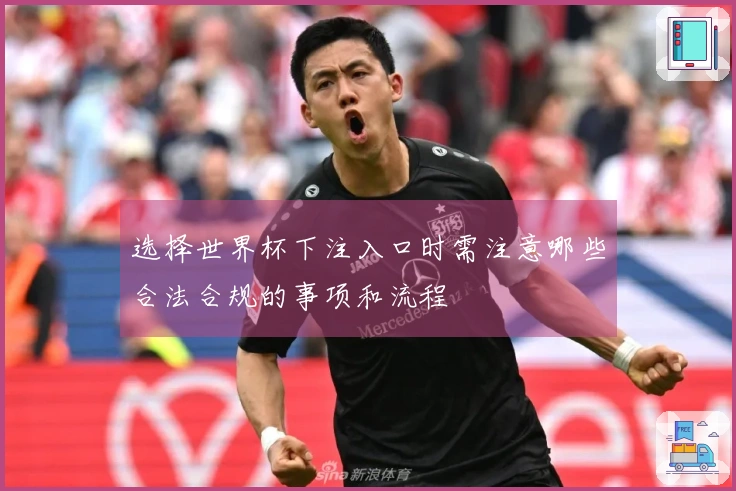 选择世界杯下注入口时需注意哪些合法合规的事项和流程