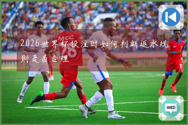 2026世界杯投注时如何判断返水规则是否合理